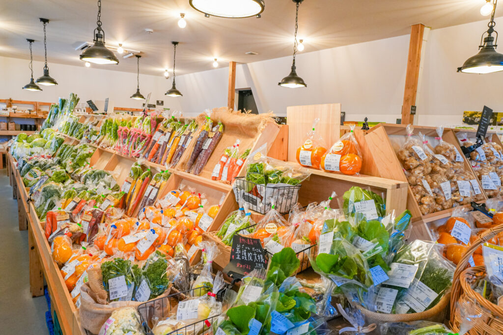 地域共創イメージ